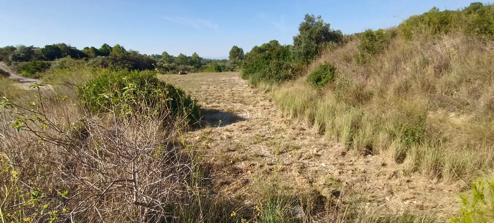 La misma vaguada despejada después del desbroce