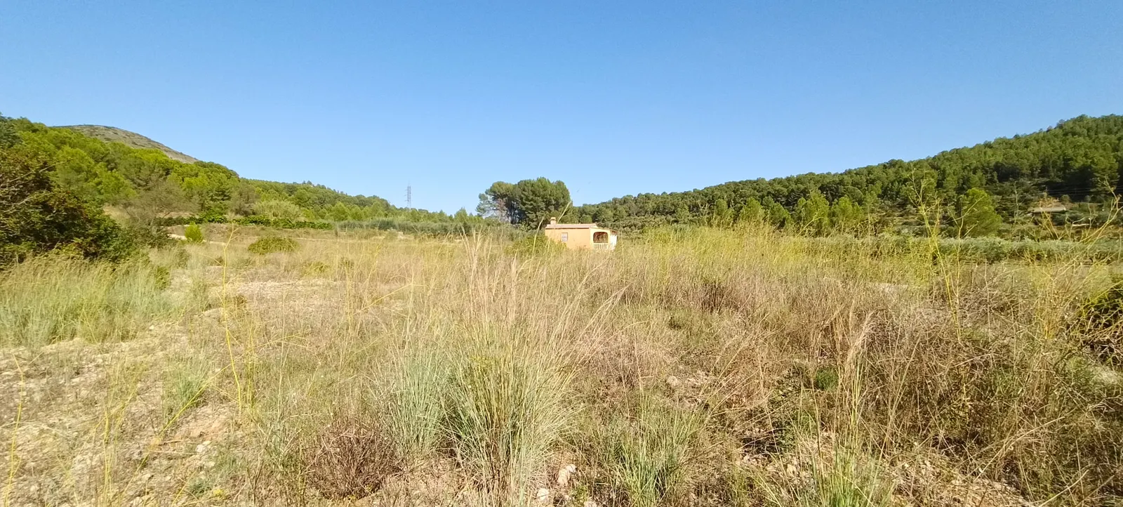 Finca con hierba alta y matorral junto a una casa antes del desbroce